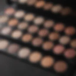 A close-up of a makeup palette showcasing hypoallergenic options