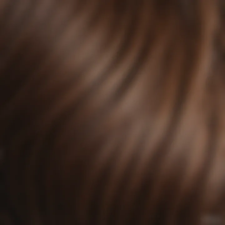 Close-up of brown hair strands showing enhanced color and shine post-tinted shampoo treatment