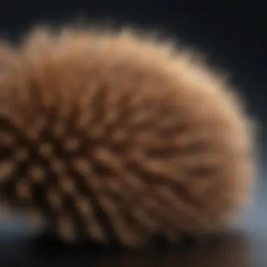 Close-up of brush bristles