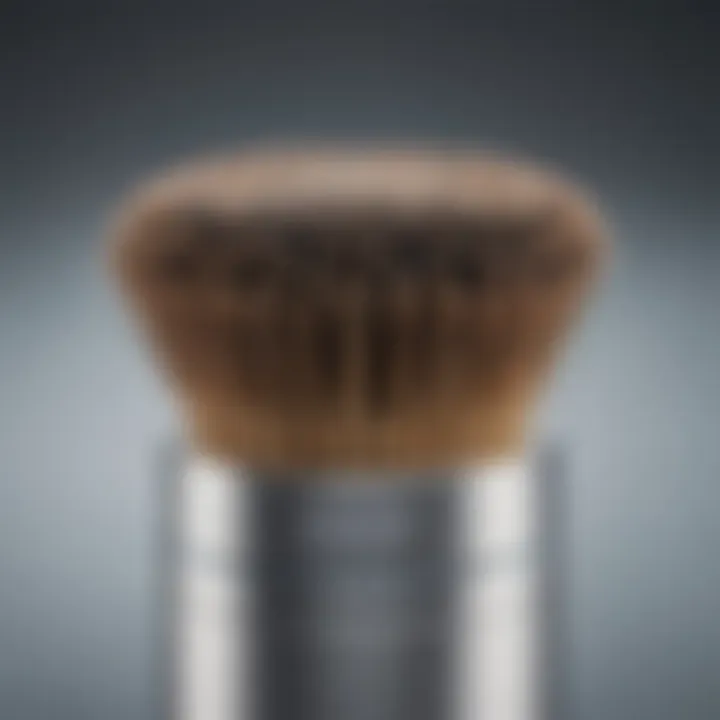 Close-up of an ionic brush showcasing its bristles