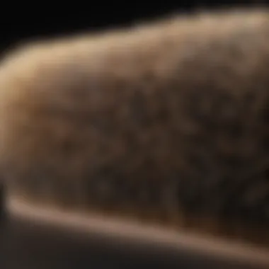 A close-up of natural bristle hair brush