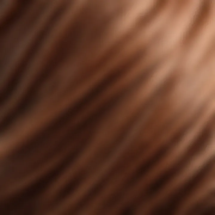 Close-up of soft auburn strands in natural light