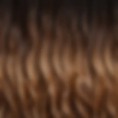 Color theory chart illustrating complementary shades for balayage