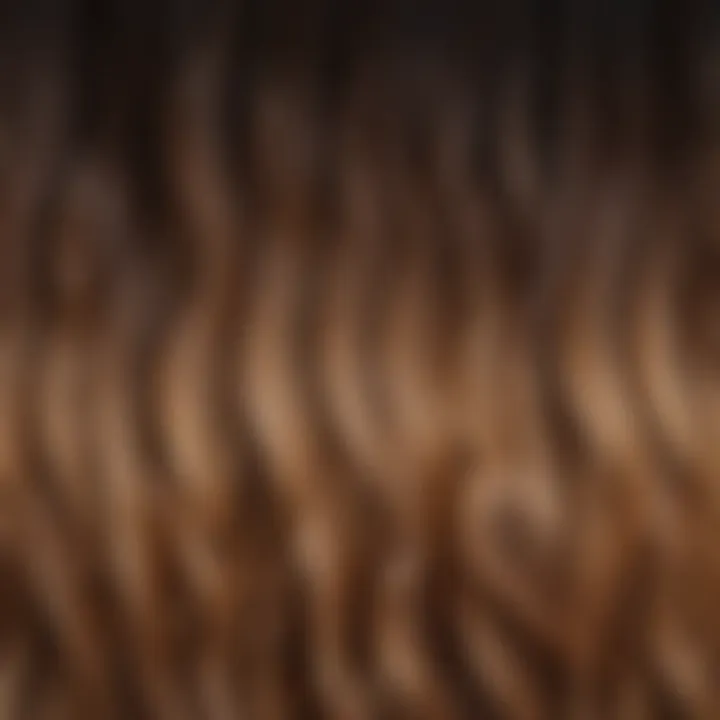 Color theory chart illustrating complementary shades for balayage