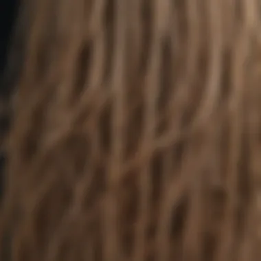 Close-up view of split ends on hair strands highlighting the damage.