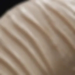 Close-up of a cream texture showcasing its smooth consistency.