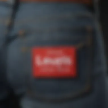 Levi's Jeans Eco-Friendly Patch