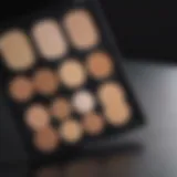 Close-up of a makeup palette showcasing concealer shades