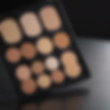 Close-up of a makeup palette showcasing concealer shades