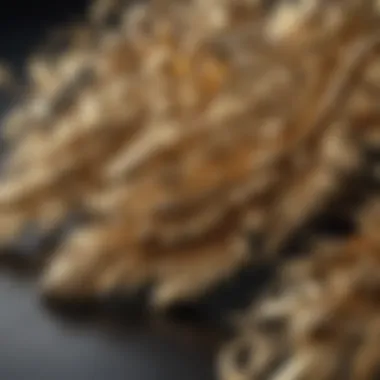 Opulent Foil Flourish: Extravagant Gold Detailing Extravagant Gold Foil Nail Embellishment