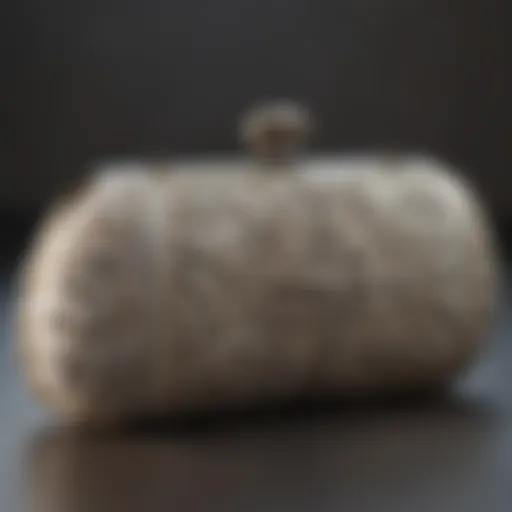 Exquisite Naghedi Clutch in Ivory