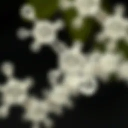 Close-up of salicylic acid molecular structure
