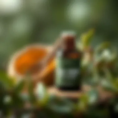 Natural sources of tea tree oil