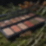 Organic makeup palette with nature-inspired hues