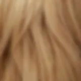 Vibrant blonde hair color swatches showcasing various blonde shades.