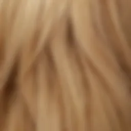 Vibrant blonde hair color swatches showcasing various blonde shades.