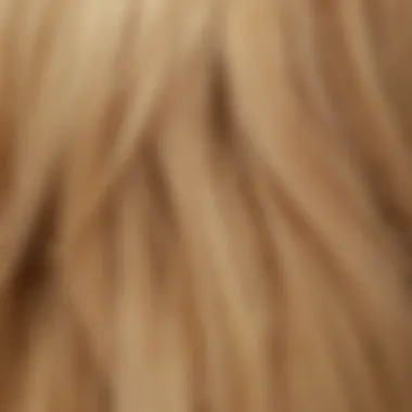 Vibrant blonde hair color swatches showcasing various blonde shades.