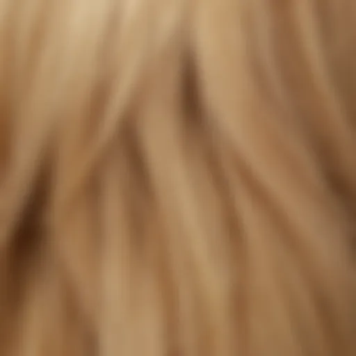 Vibrant blonde hair color swatches showcasing various blonde shades.