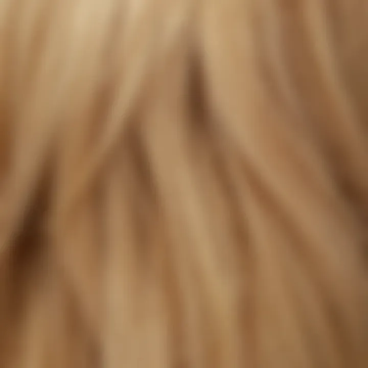 Vibrant blonde hair color swatches showcasing various blonde shades.