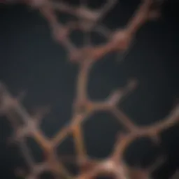 An infographic showcasing the biochemical structure of keratin