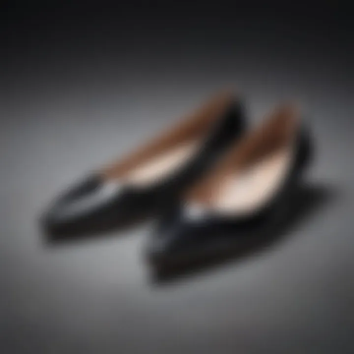 Classic pointy-toe flats showcasing sophistication