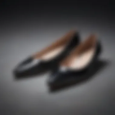 Classic Pointy-Toe Flats for Elegance Classic pointy-toe flats showcasing sophistication