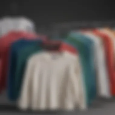 Aesthetically Arranged Long Sleeve Basic Tee Collection A collection of long sleeve basic tees in different colors and styles arranged aesthetically