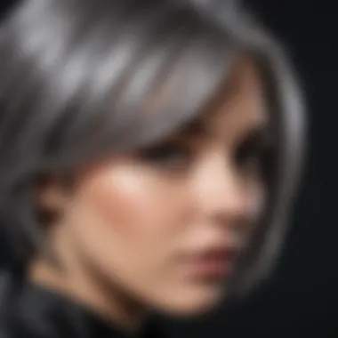 Chic Gray Hair Dye Selection Gray Hair Dye Selection