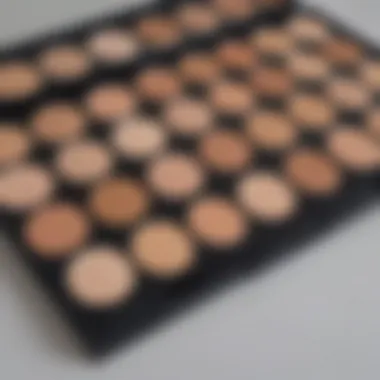 Various shades of concealer palettes for color correction