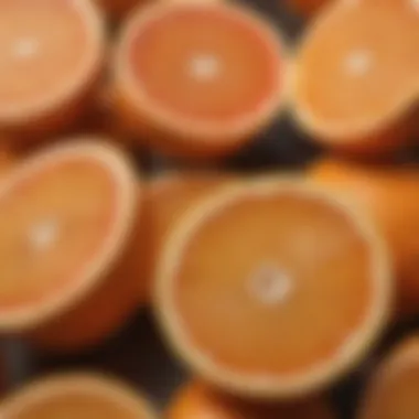 Vitamin C Rich Citrus Fruits for Skin Repair Vitamin C Rich Citrus Fruits