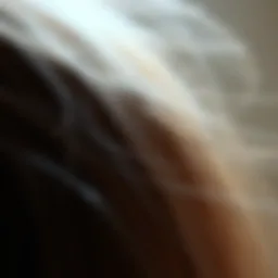 Close-up of dry hair with split ends