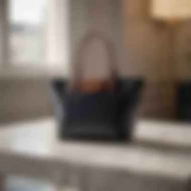 Elegant Longchamp black tote bag on a marble surface