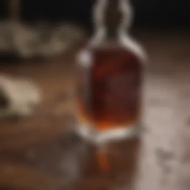 Natural Stain Removal Elixir Organic stain removal remedy