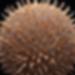 Illustration depicting microscopic view of hair follicles
