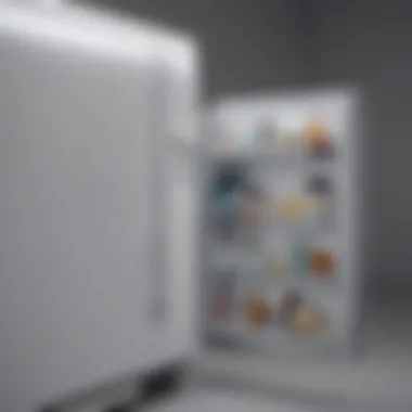 Modern skincare fridge with sleek design