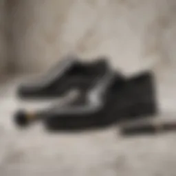 Elegant shoe cleaning kit on marble background