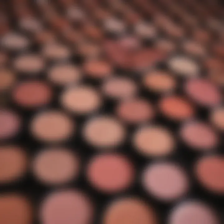 A range of blush shades suitable for fair skin showcasing their colors and textures.