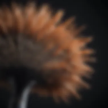 Soft bristles of a fan brush close-up