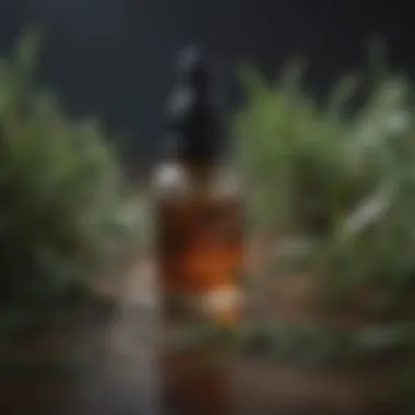 Organic Tea Tree Extract Tea Tree Leaves with Dropper