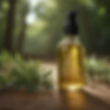 Pure Tea Tree Oil Essence Tea Tree Oil Bottle on Natural Background
