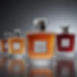 A visually stunning collection of niche fragrance bottles showcasing their unique designs