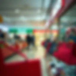 The Dynamics of Discount Purse Stores Introduction
