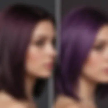 Hair Swatch Comparing Before and After Purple Shampoo Use