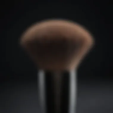 Soft bristle powder bronzer brush in a sleek black design