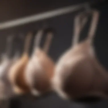 Close-up of different bra sizes hanging on display