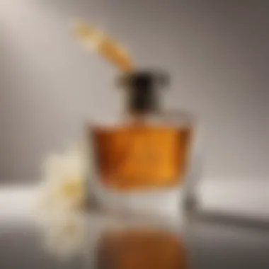 An artistic representation of the scent notes in vanilla oud