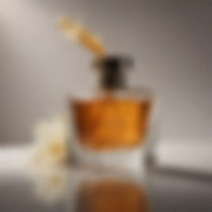 An artistic representation of the scent notes in vanilla oud