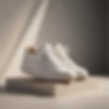 Veronica Beard sneakers showcased in a minimalist setting