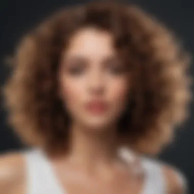 A beautifully styled head of curly hair demonstrating volume and bounce