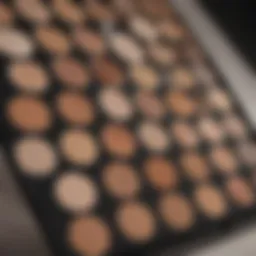Close-up of a concealer palette designed for skin discoloration.